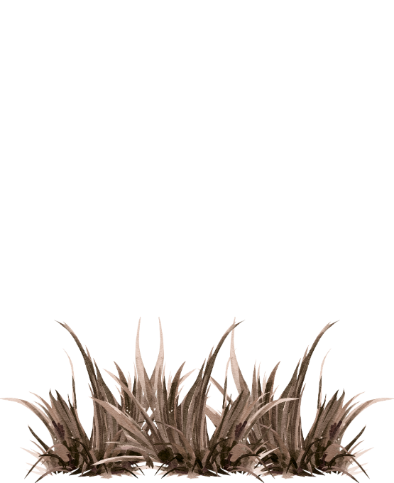 Web Invitation By Idzi