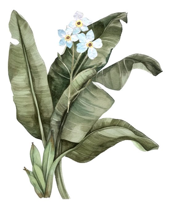 Web Invitation By Idzi